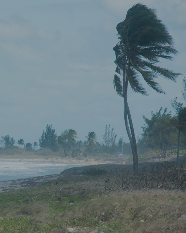 Eye of the hurricane
