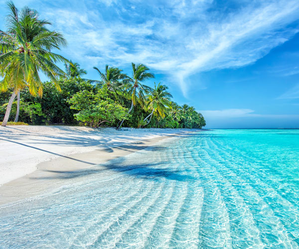 Sunny Beach